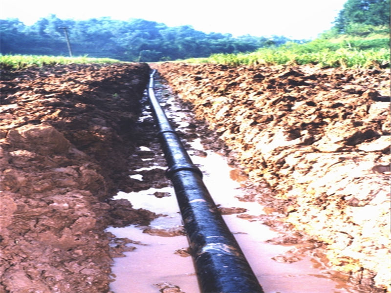 кL(zhng)xݔ(xing)Ŀ