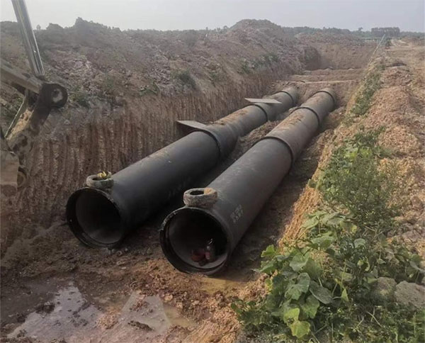 ؑcƺɽ·W(wng)ƹ(xing)Ŀ